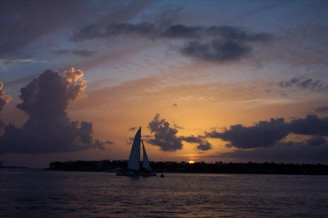 Photograph taken in Florida Keys by Liza Schillo