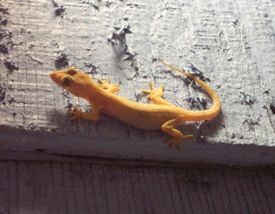Photograph by Liza Schillo