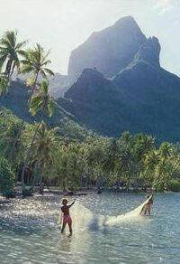 Fishing in Bora Bora, compliments of Jane Resture