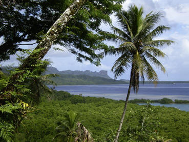Coast of Pohnpei