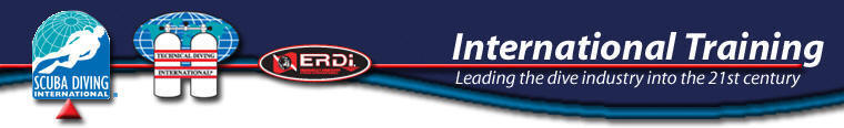 SDI Banner