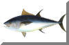 Fisheries Image - fish2056
