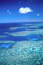 Florida Keys Reef