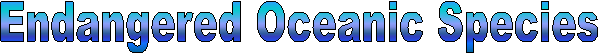 Endangered Oceanic Species