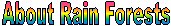 About Rain Forests