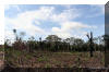 Slash-and-burn agriculture in the Amazon rain forest of Peru