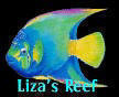 Liza's Reef, coral reef art