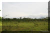 Deforestation for cattle grazing near Puerto Maldanado