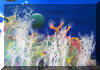 Liza's Reef, coral reef art