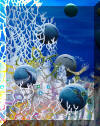 Liza's Reef, coral reef art