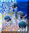 Liza's Reef, coral reef art