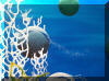 Liza's Reef, coral reef art