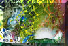 Detail from The Emerald Grouper, painting #9 in the Liza's Reef Series, by Lee James Pantas