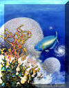 #2 "Areiti, The Little Wave", by Lee James Pantas