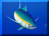 Liza's Reef, coral reef art