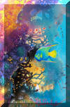 Liza's Reef, coral reef art