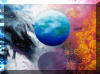 Liza's Reef, coral reef art
