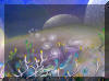 Liza's Reef, coral reef art