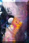 Liza's Reef, coral reef art