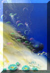 Liza's Reef, coral reef art