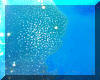 Liza's Reef, coral reef art
