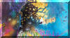 Liza's Reef, coral reef art