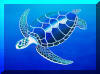 Female Turtle, Liza's Reef, coral reef art