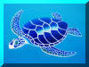 Male Turtle, Liza's Reef, coral reef art