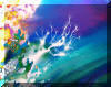 Liza's Reef, coral reef art
